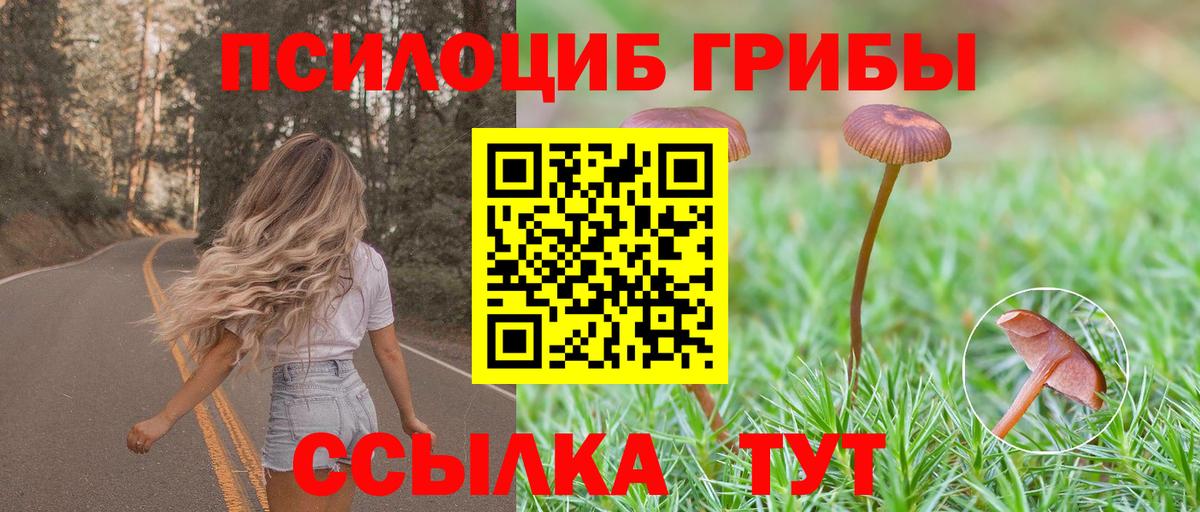 Псилоцибиновые грибы Psilocybe Рыбинск
